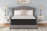 Diamond Furniture - Ashley Furniture - Palisades ET Queen Mattress - Queen - M41731